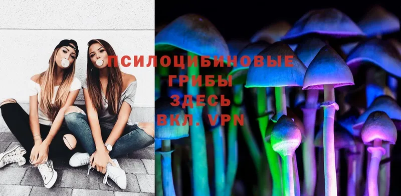 Псилоцибиновые грибы Magic Shrooms  Ефремов 